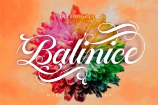 Balinice: Crafting a Luxurious Brand Identity