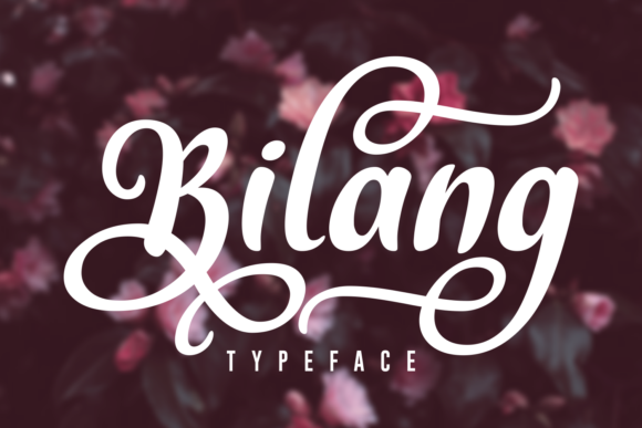 Bilang: Merging Bold Swashes with a Strong Identity