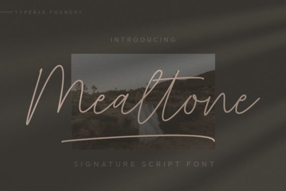 Mealtone: The Authentic Script Font for Modern Design