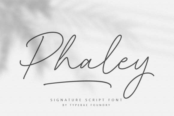 Phaley: A Script Font for Authentic, Elegant Design