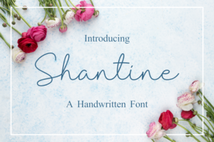 Shantine: Crafting Elegance with a Monoline Script Font